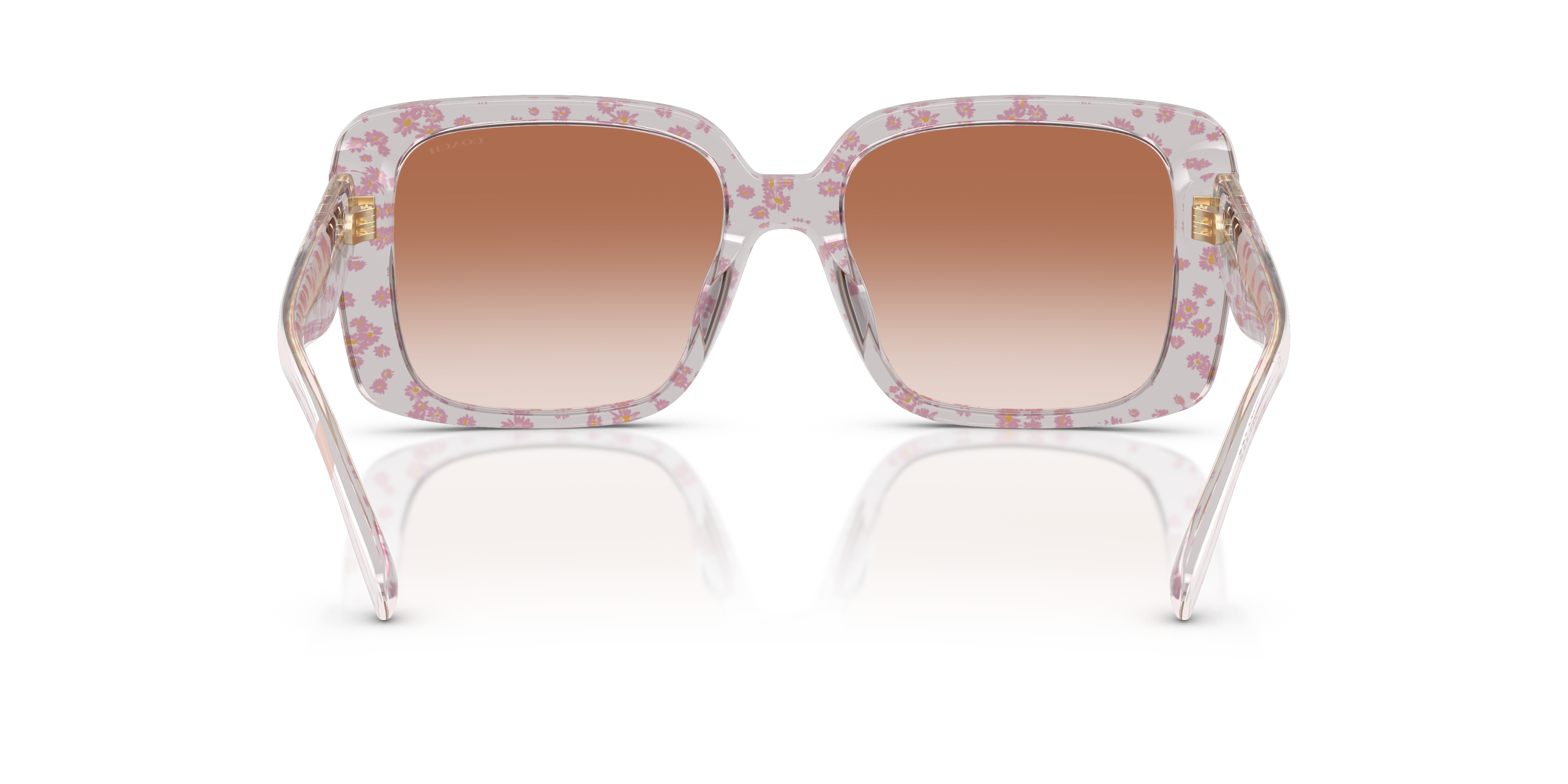 Coach HC8424U 595313 Cad54 